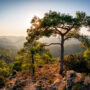 Troodos Mountains Cyprus