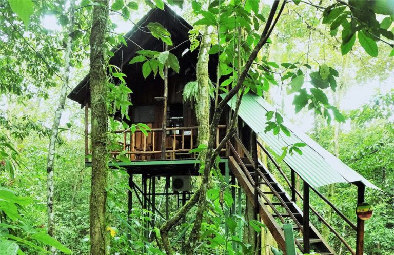 Costa Rica Tree Houses | 11-Day Vacation | Costa Rica Wanderlust