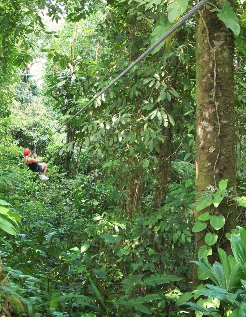 forest jungle zipline canopy tour copy