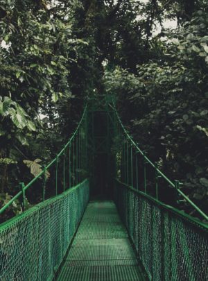 Monteverde hanging bridges